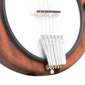 Amazon.com: Gold Tone 6 String Guitar Banjo, Right (EB-6